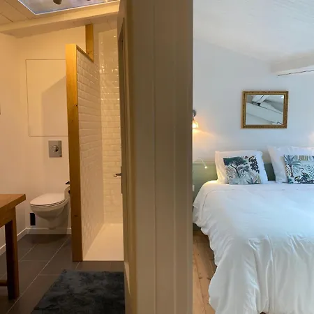 Διαμέρισμα Le Petit Bourgeois - Duplex En Vieille Νανσύ