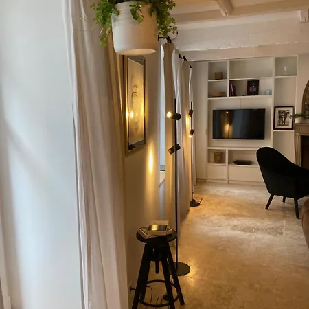 Le Petit Bourgeois - Duplex En Vieille Διαμέρισμα *