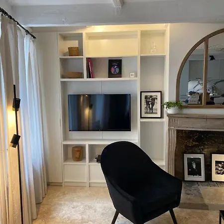 Apartment Le Petit Bourgeois - Duplex En Vieille Nancy